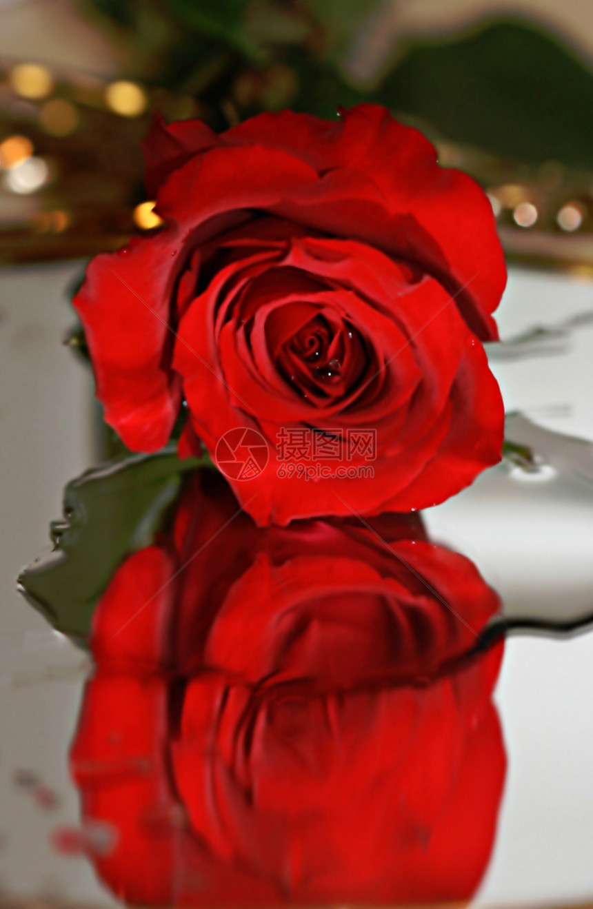 红玫瑰镜子图片