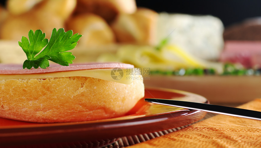 带冷肉和奶酪的露天三明治盘子木头棕色早餐绿色小吃水平晚餐面包粉色图片