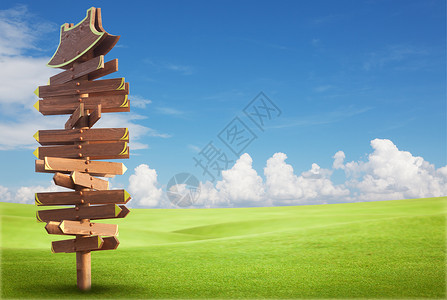 蓝天空绿地上的木林标志空白绿色摄影广告牌木头木板背景图片