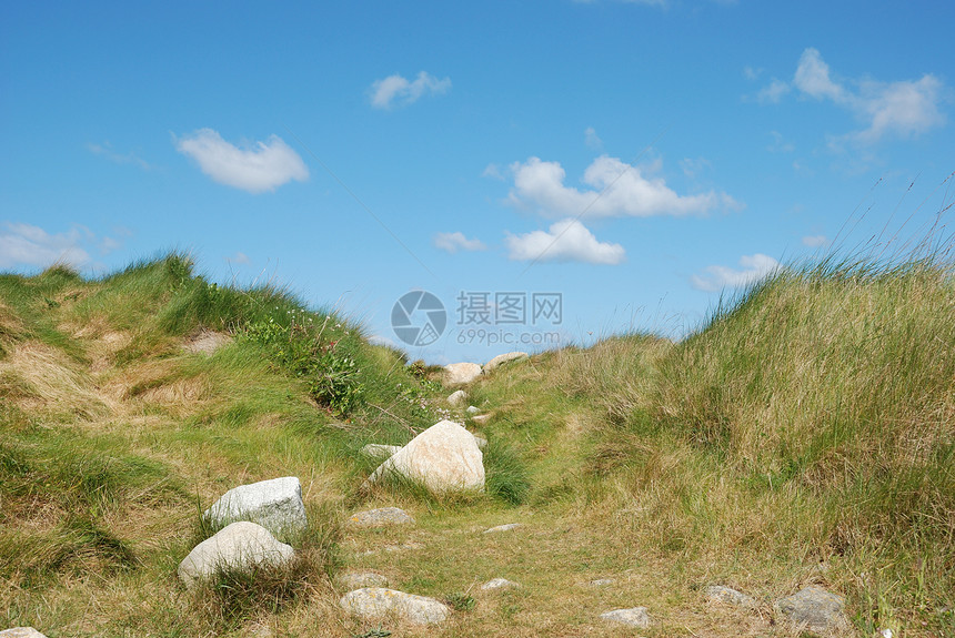 带鲜花和马拉姆草的沙丘天空海洋蓝色沙芦沙滩植物图片