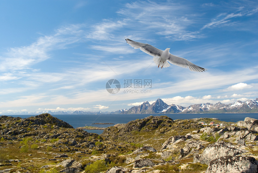 挪威岛上空的笼罩图片