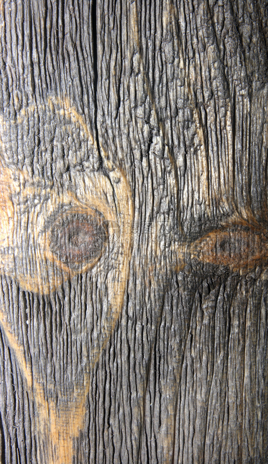 棕褐木的润棕木纹理粮食松树框架宏观单板样本木工木地板材料风格图片