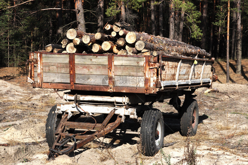 森林中树木的加载日数林业工作燃料工业运输记录松树树干柴堆活力图片