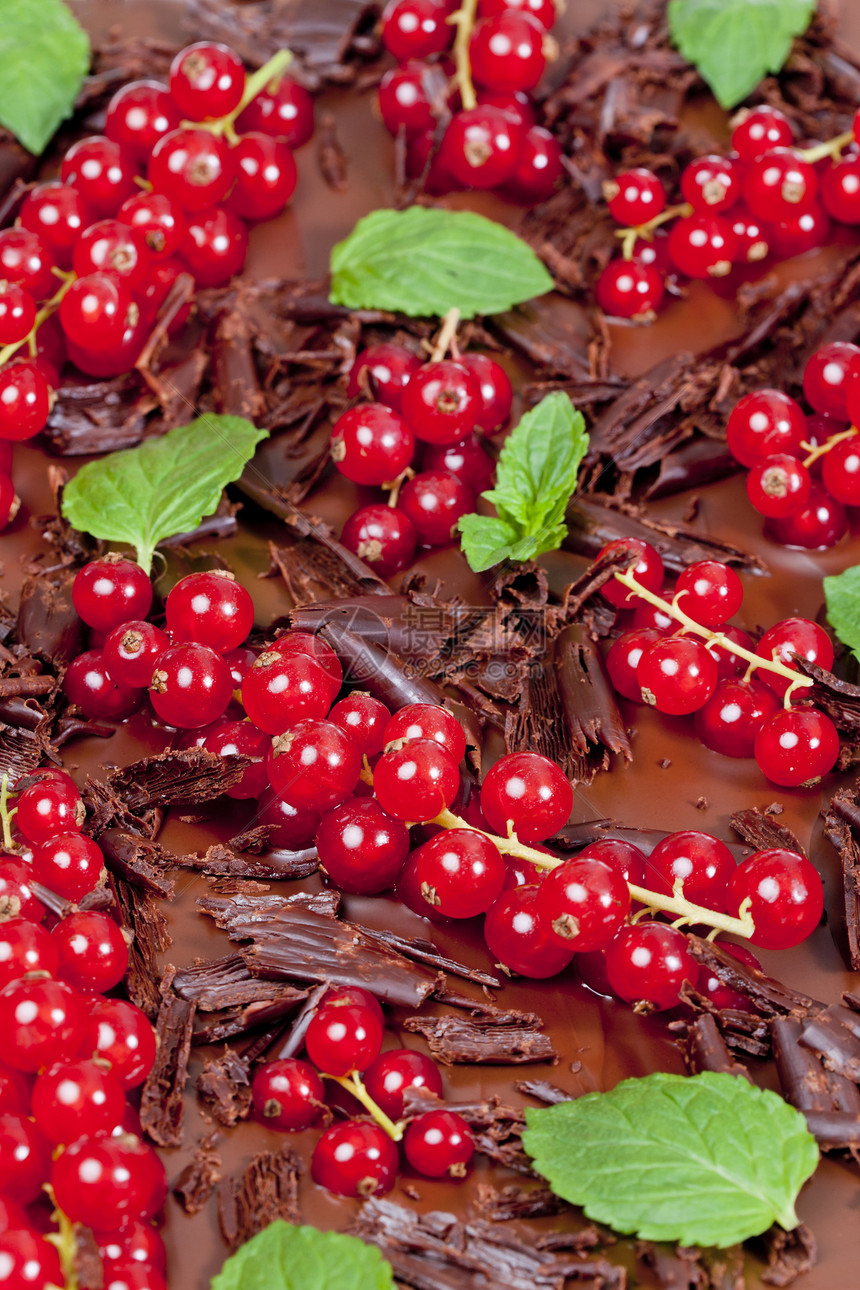 红色卷毛和薄荷巧克力诱惑静物营养水果棕色醋栗叶子绿色糖果食物图片