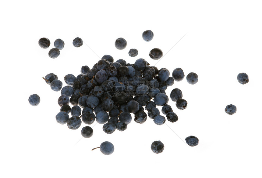 白色背景上的黑角色蓝色食物饲料浆果水果图片