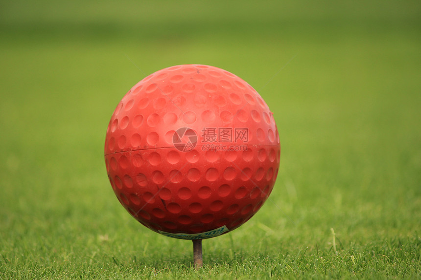 高球球形高尔夫球圆形宏观球座运动图片