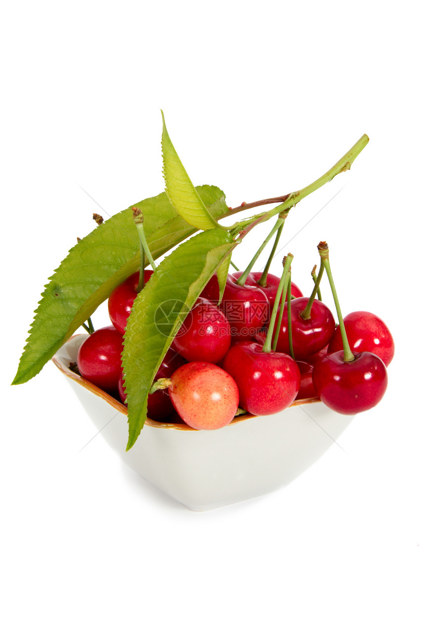 樱桃 孤立在白色背景上红色商品美食收获框架季节性团体水果小吃早餐图片