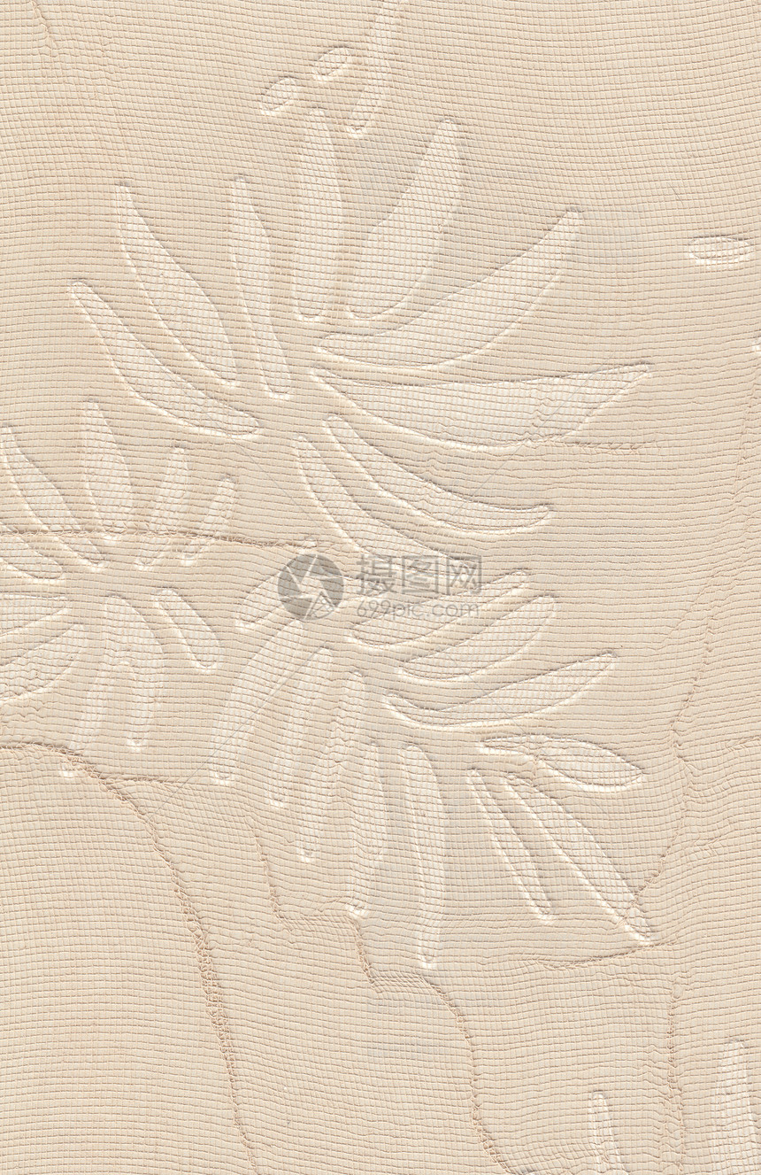 Grungy 古老的壁纸设计 花叶变形剪贴簿棕色墙纸装饰植物群艺术古董织物漩涡插图图片