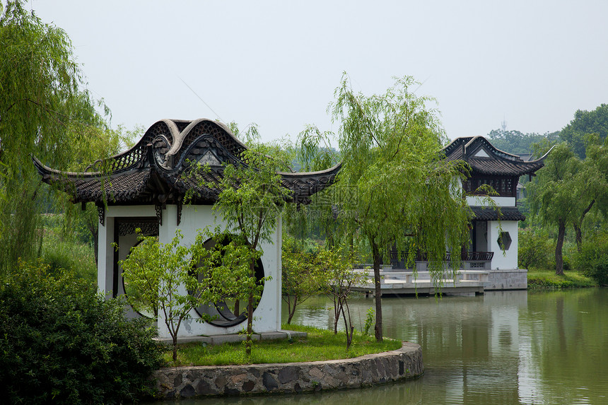 丝状西湖公园自然界烟熏旅游业花园图片