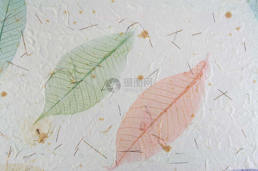 有叶子的纸张剪贴簿手工娘娘腔风化地球刷子树叶荒野羊皮纸杂志图片