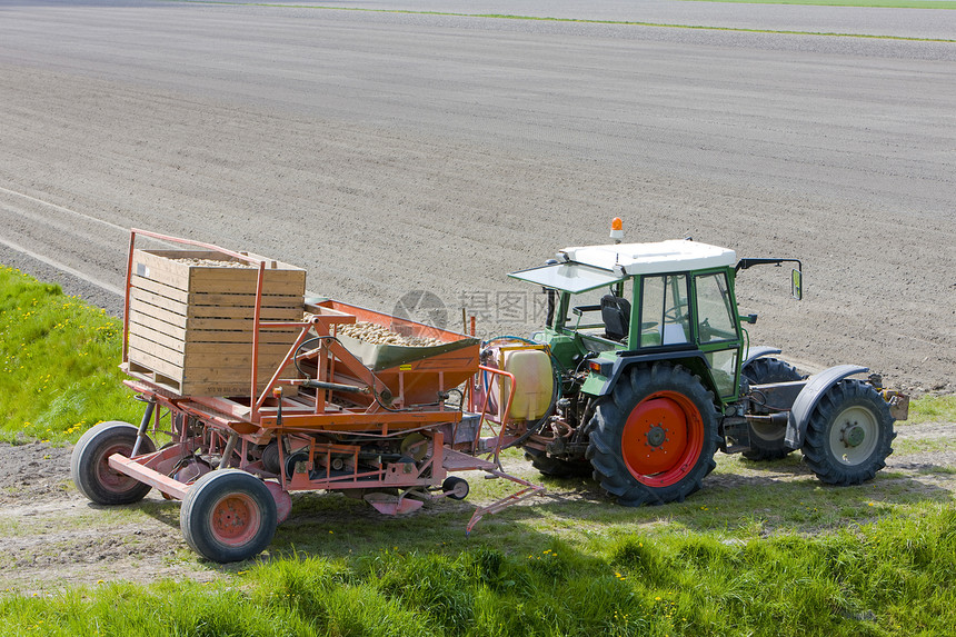 荷兰田间拖拉机植物车辆乡村栽培国家农具场地农场外观农村图片
