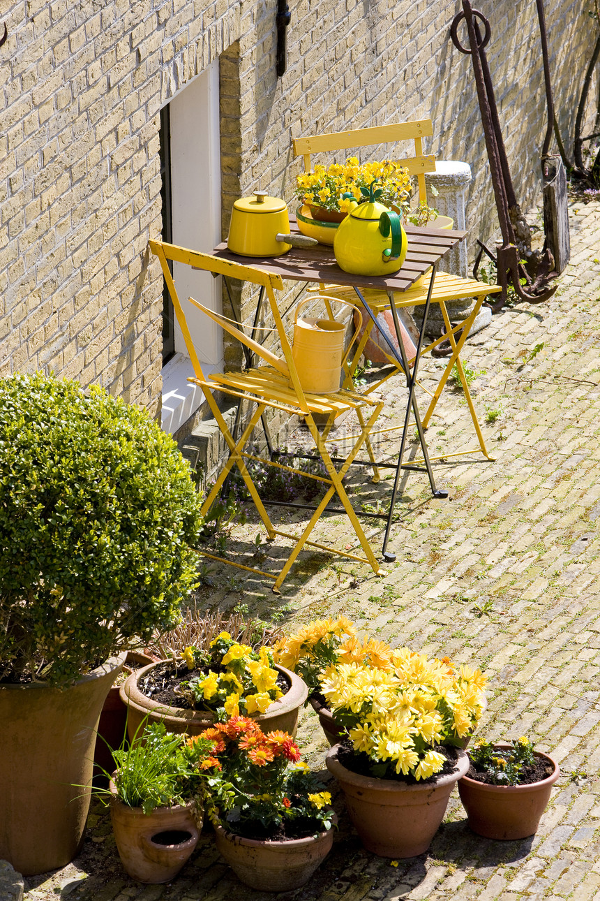 荷兰弗里斯兰桌子植物椅子茶壶世界房子外观位置城市建筑学图片