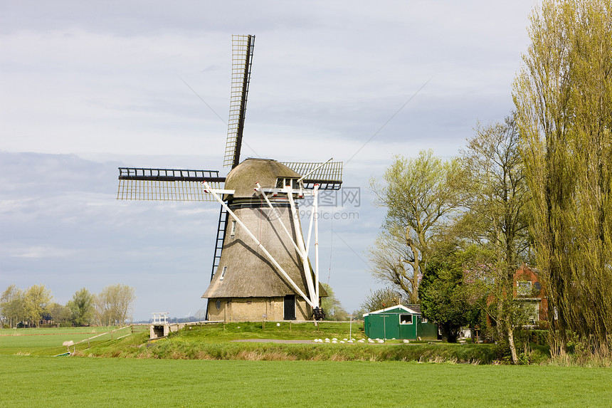 荷兰弗里斯兰附近的风车图片
