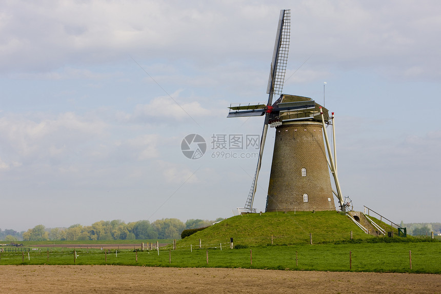 荷兰盖德兰Rha附近的风车图片