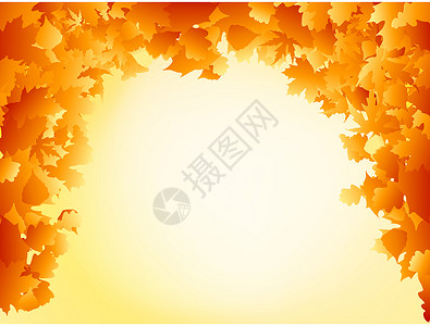 橙色秋季秋叶框架设计植物白色季节橙子植物学黄色叶子椴树环境季节性插画