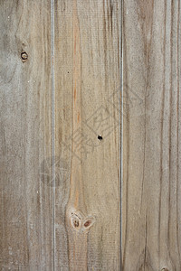 木质神经木材粮食木头硬木背景图片