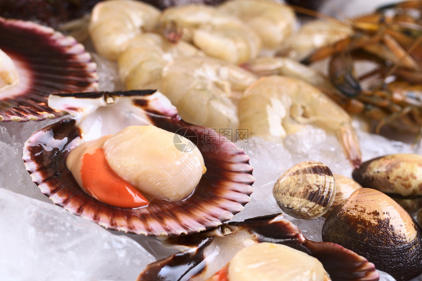 和冰上其他海产食品贝类美味水平食物海洋海鲜照片鱼子美食贝壳图片