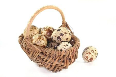 Quail 鹌鹑粮食鸟蛋模式生育力斑点篮子美味盘子背景