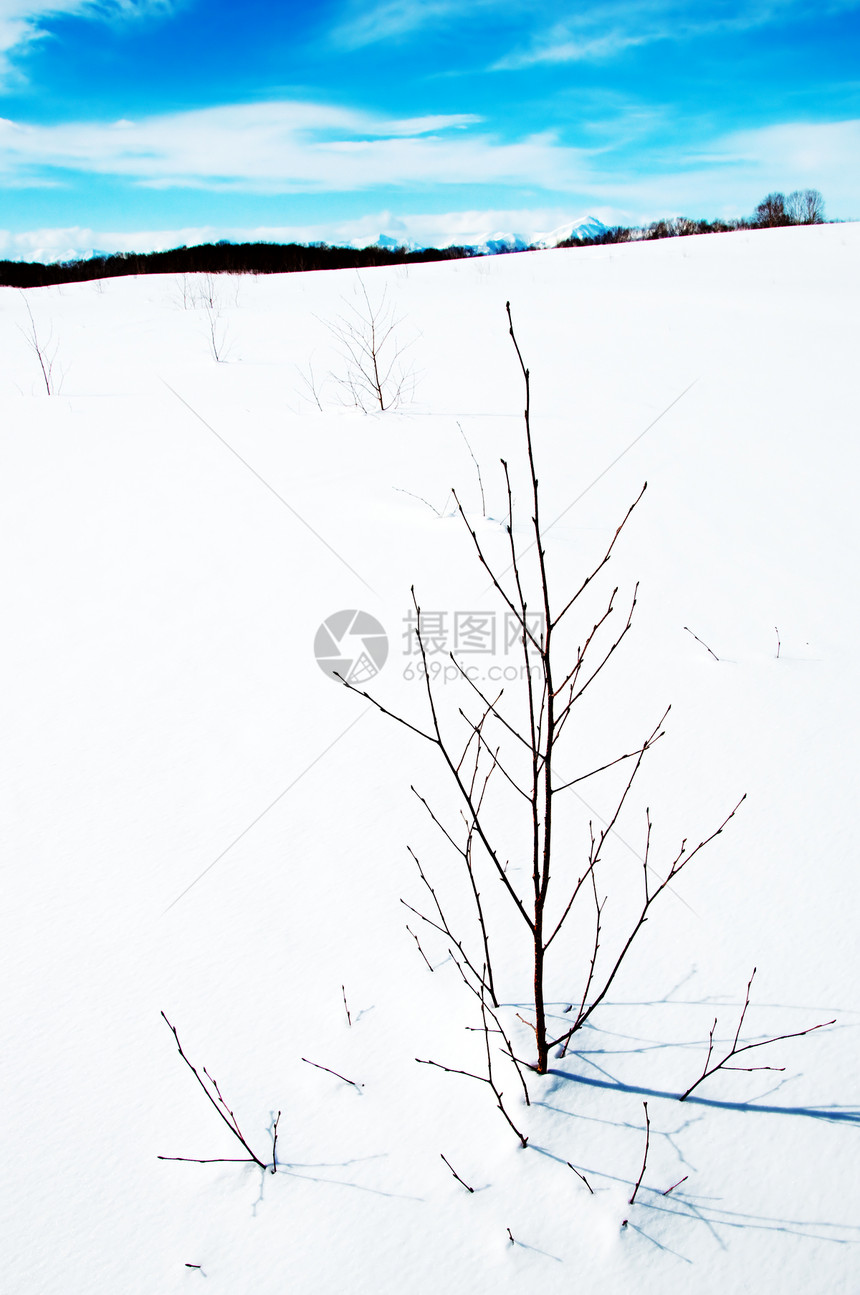 冬季风景旅行孤独森林天气场景农村公园童话气候季节图片