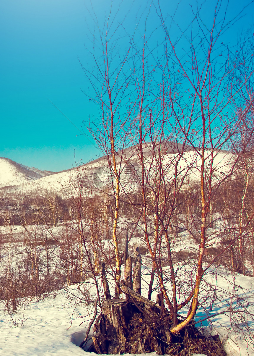 风景孤独国家旅行季节小路森林大路降雪场景暴风雪图片