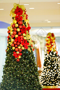 多巴哥圣诞树详情符号传统内饰树木装饰红色背景图片
