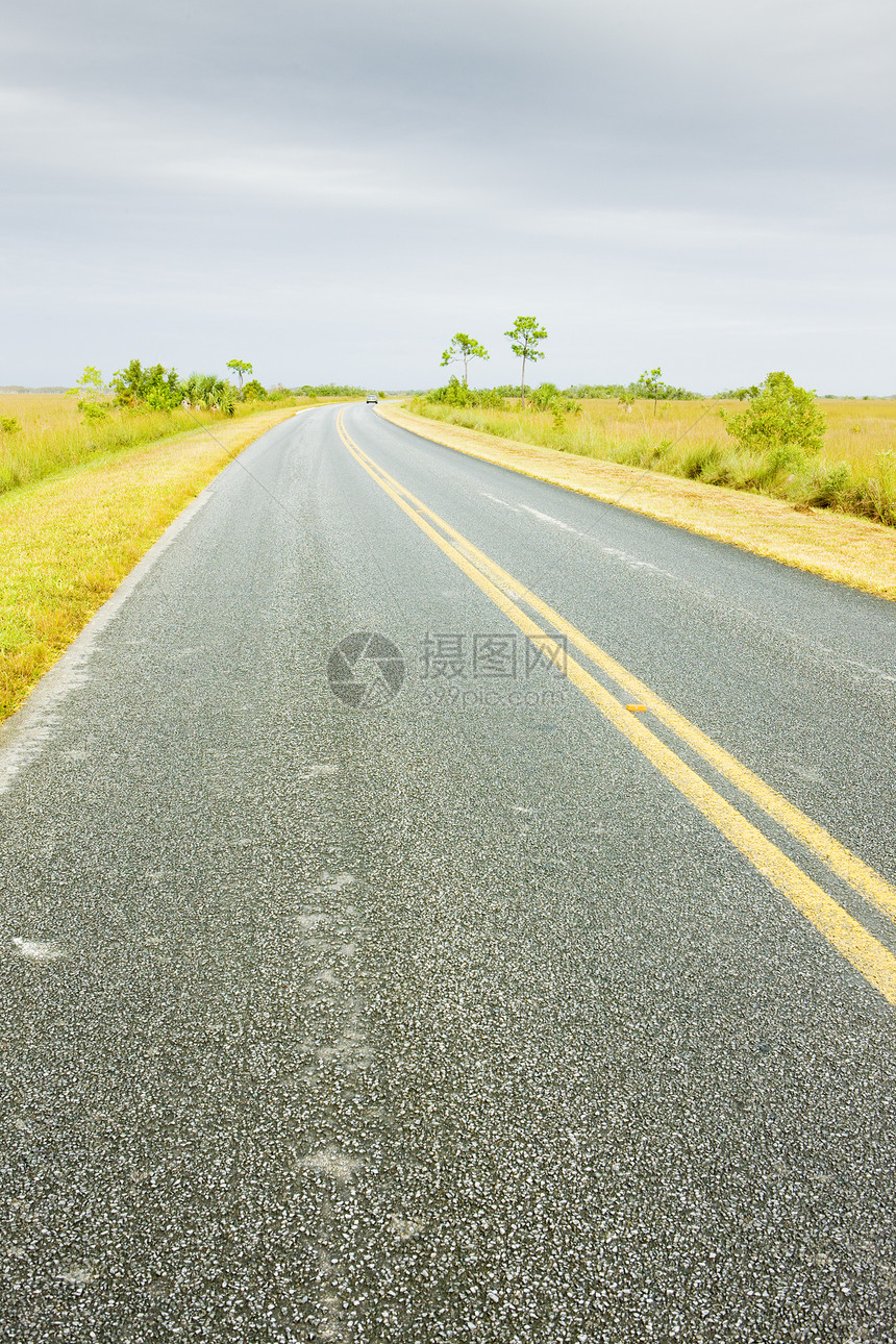 美国佛罗里达州Everglades国家公园运输风景np位置道路世界外观自然保护区沼泽地旅行图片