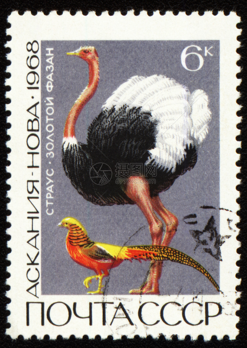 邮票上印有奥斯特里奇和金色野鸡图片