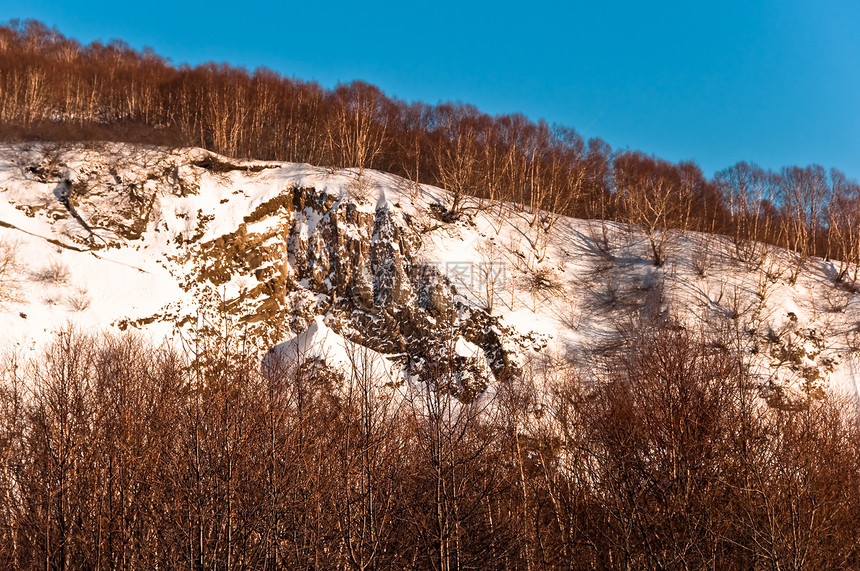 雪中山丘树木高度石头悲伤旅行风景旅游图片