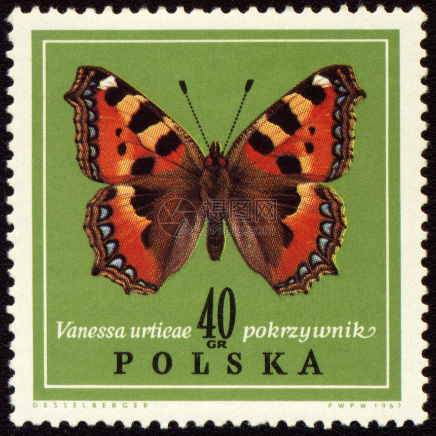 贴在邮票上的Vanessa动物群鳞翅目蝴蝶标签集邮野生动物害虫邮戳航班昆虫图片