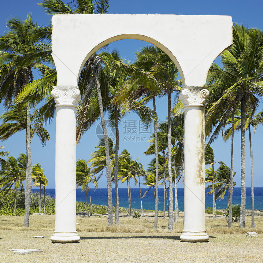 克里斯托弗哥伦布登陆纪念馆植物群海洋植物学支撑热带艺术棕榈手掌海景旅行图片