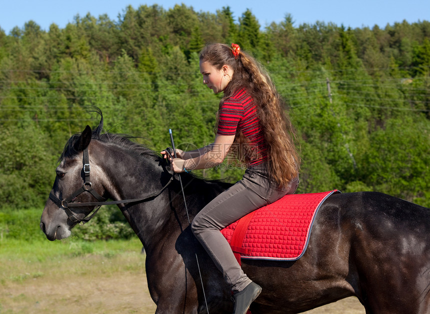 女孩骑马鬃毛运动动物骑术黑发鞭子板栗场景小跑边缘图片