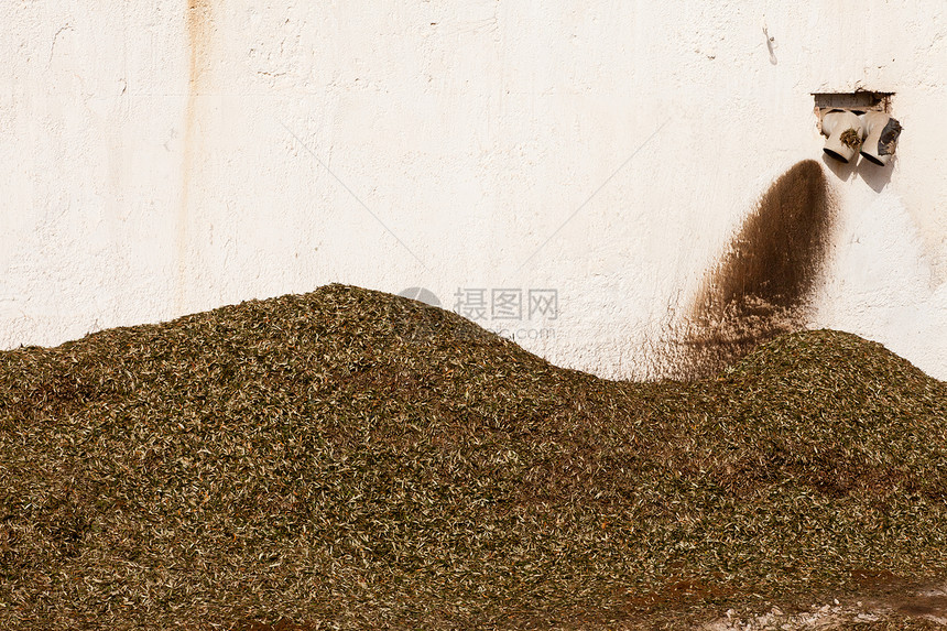 橄榄磨厂废物 产假工厂铣削收获叶子食物萃取药品生产机器农场图片