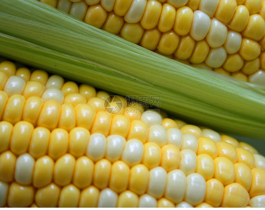 玉米在椰子上内核生产营养食物饮食蔬菜棒子图片