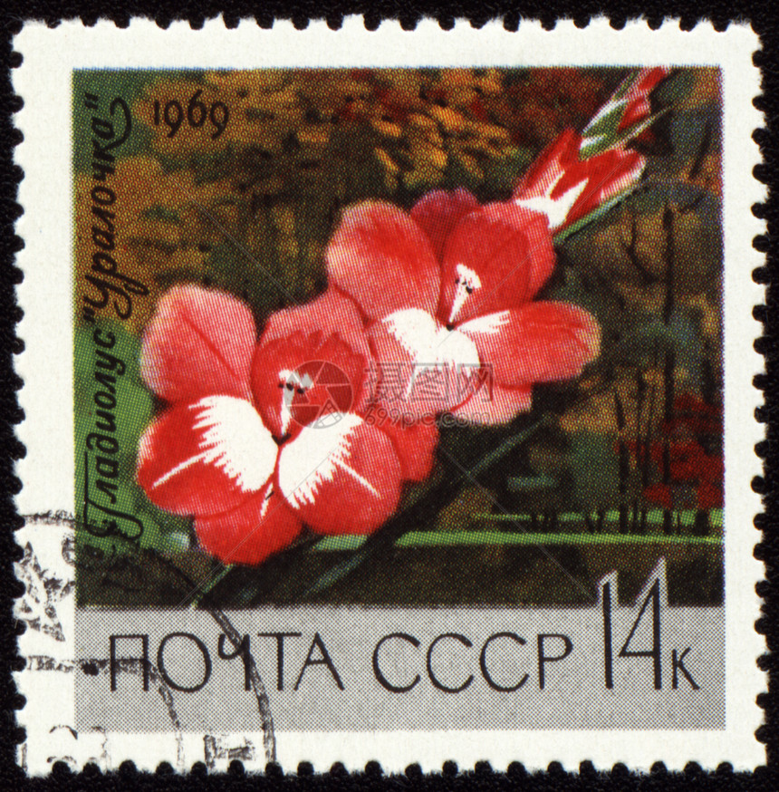 贴在邮票上的红色角斗士图片