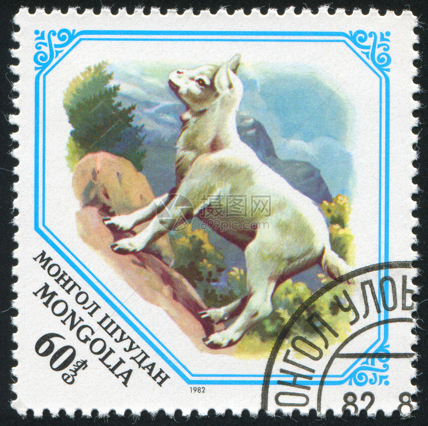 邮票邮件山羊孩子农场动物历史性信封明信片集邮邮戳图片