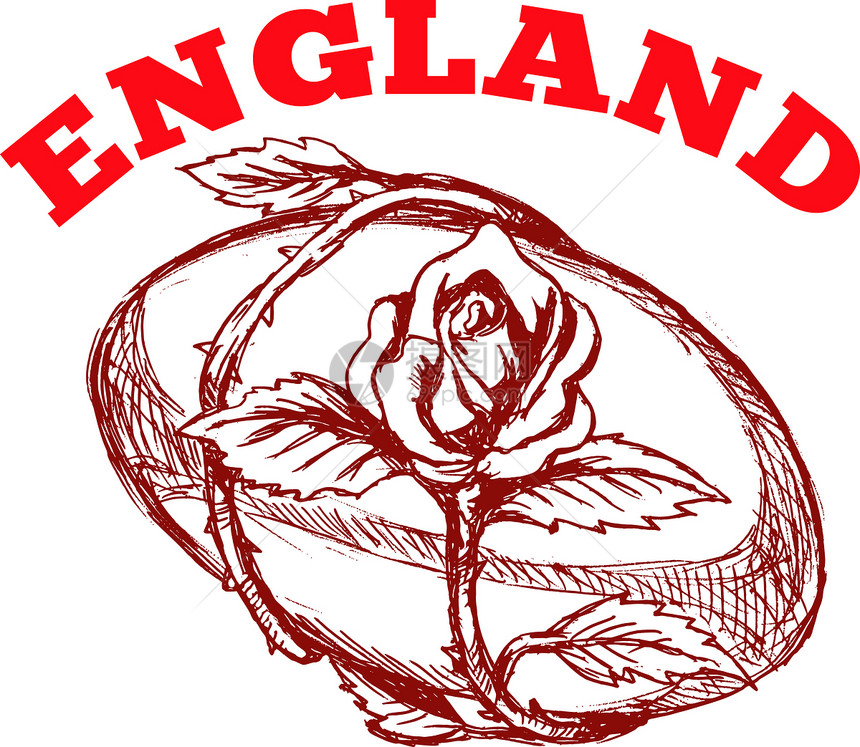 英式玫瑰花的英格兰橄榄球图片