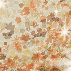 秋叶 季节性模板设计 EPS 8海报插图天空网络叶子橙子横幅作品植物学卡片背景图片