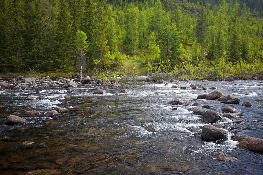 挪威山脉流动草地水池石头池塘杂草水库气候休息旅游图片