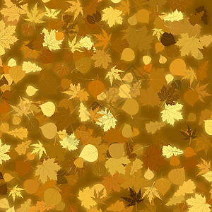黄金秋天有叶叶的金色背景 EPS 8墙纸叶子横幅棕色辉光植物边界黄色季节装饰品背景图片