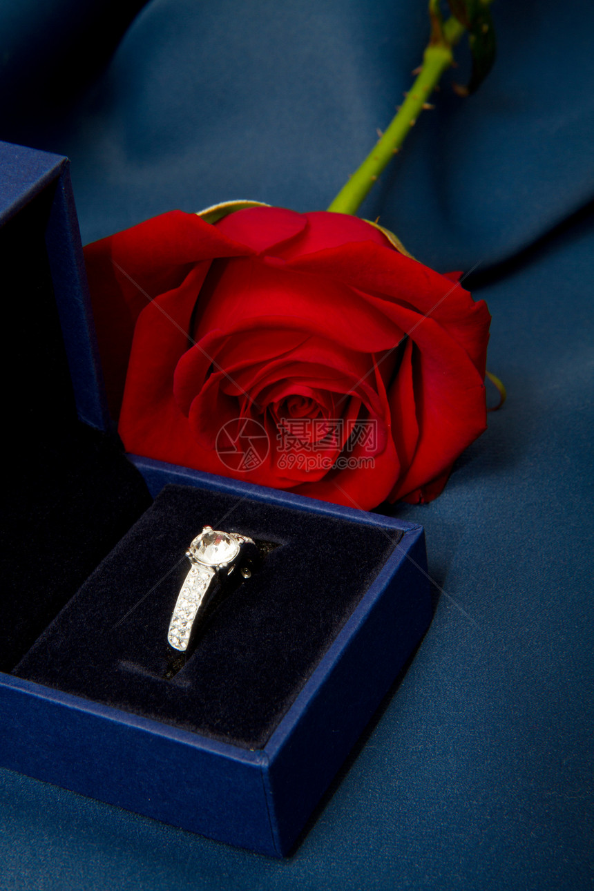 红玫瑰 带戒指的礼物惊喜母亲红色植物群奉献生日白色玫瑰念日精神图片