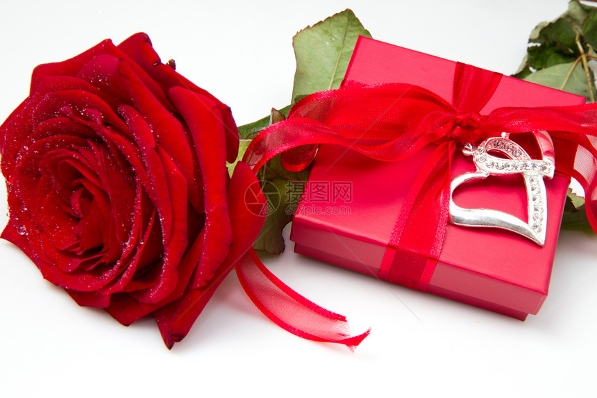 现箱和红玫瑰盒子精神礼物念日生日植物群粉色玫瑰奉献丝带图片