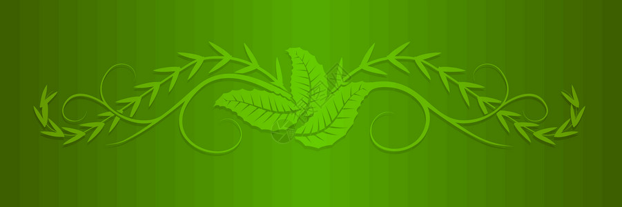 矢量树叶形状绿色卷曲午餐漩涡背景图片