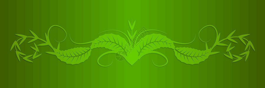 矢量树叶形状卷曲午餐绿色漩涡背景图片