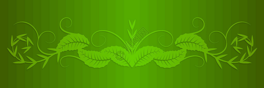 矢量树叶形状绿色午餐漩涡卷曲背景图片