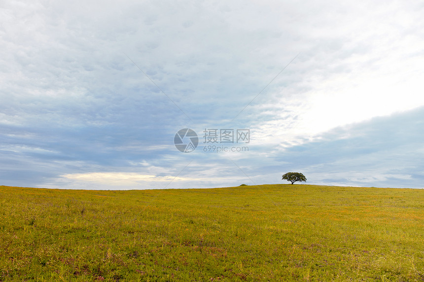 春初的绿地蓝色红色天空绿色图片