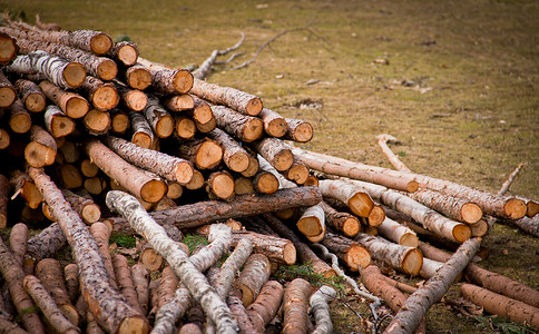 日志木材日志贮存林业生态生长软木活力乡村建造木材记录背景