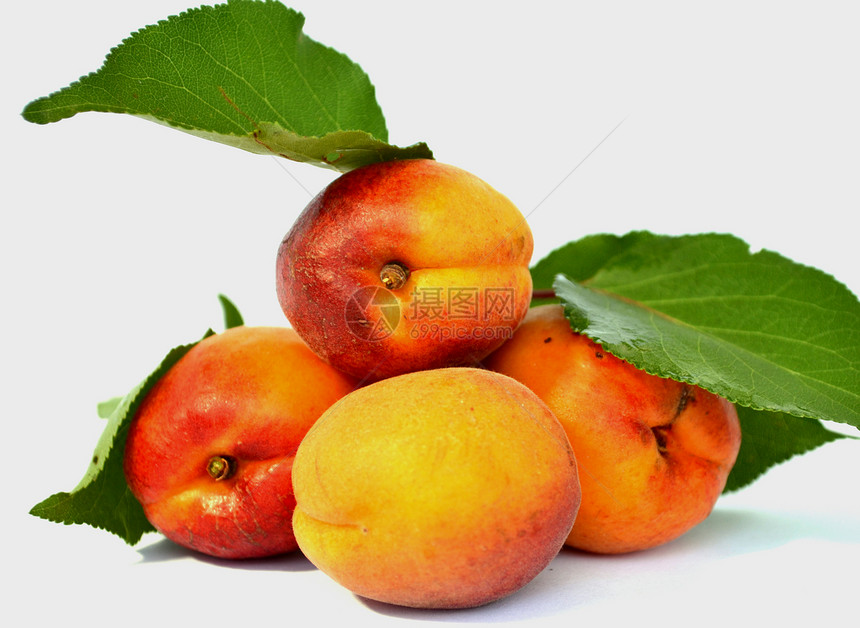 香辣的杏汁收成绿色桃子素食主义者植物黄色李子维生素生长食物图片