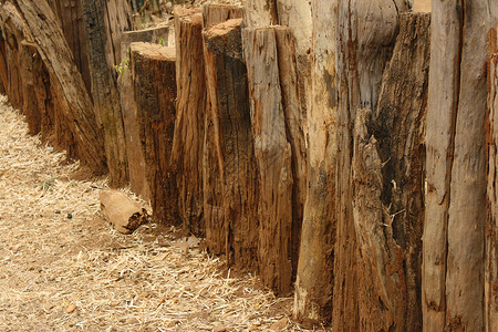 旧木木场景公园对数乡村植物场地假期木头旅行季节背景图片
