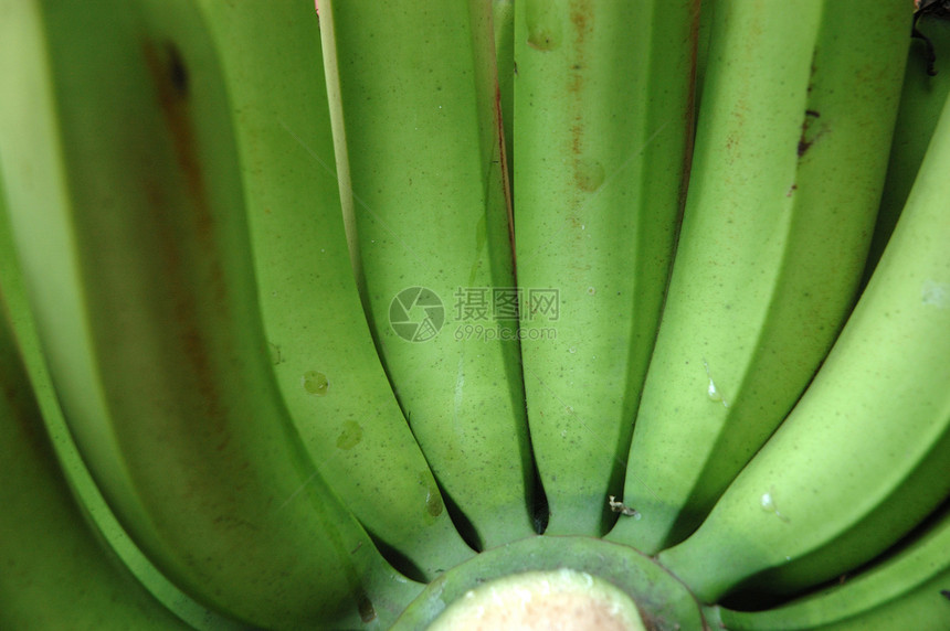 香蕉绿色生活方式水果健康饮食食物图片