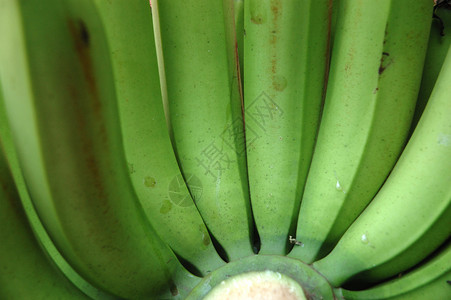 香蕉绿色生活方式水果健康饮食食物背景图片